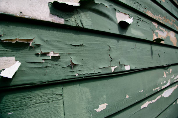 Storm Damage Siding Repair in Cape May, NJ